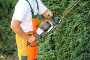 Hedge Cutting & Hedge Trimming Service in Bournemouth & Poole
