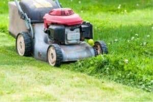 Lawn Mowing, Lawn Care & Grass Cutting Service Bournemouth
