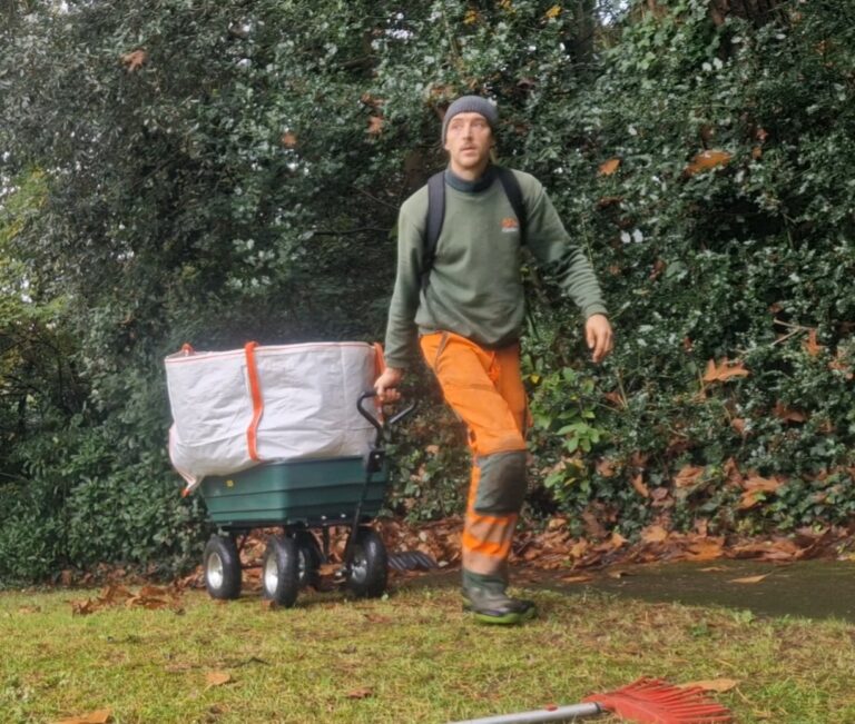 Gardener using a cart to clear leaves