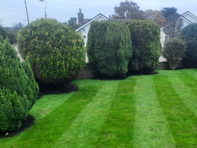 Lawn stripes after grass cutting service