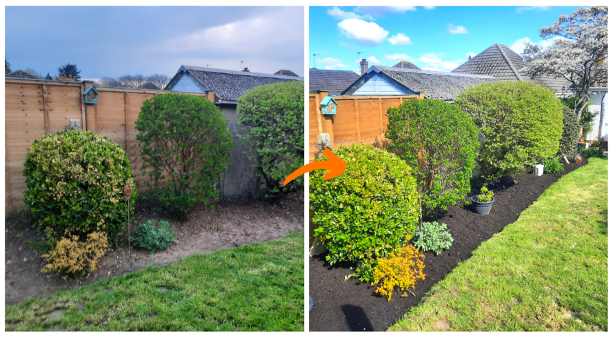 Before & After Mulching Borders With Organic Compost
